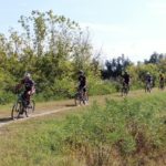 15469175-3151-404a-85a5-90baf1484dea