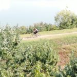 1eedf8e1-65a1-4c0c-82fd-be5e2bcf3a20