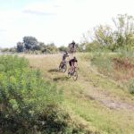 3bb386d1-c1d9-456e-b8e6-bb410530e041