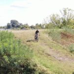 465be7ba-c0e1-4597-9285-7c15ffc57b6c