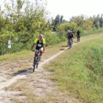 95656d10-0f36-4931-965a-07703d5e0509