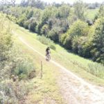 c9ee143d-31c4-48d5-a1a0-323ea71025ac