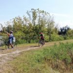 de5e1db4-4150-4956-926e-34d79dc4b5ab