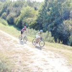 e52cebf6-495c-4f4a-8bcc-3822101e7bcf