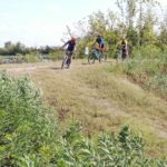 e80d24b1-805e-4631-82ad-ca371c893aec