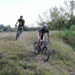 e86c5c74-eeca-408e-85a6-be06233e6a47-1