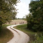 fargravel2019-simo-009