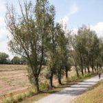 fargravel2019-simo-060