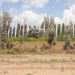 fargravel2019-simo-063