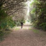 fargravel2019-simo-122