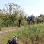 fbe6172f-3f79-4e48-9a3b-6e81c1e1d5b1