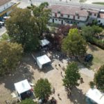 fe294029-2bbf-4fea-9591-2287a2c42797