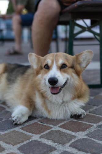 Foto-FAR-Gravel-2025- -Nicola-Tebaldi-258